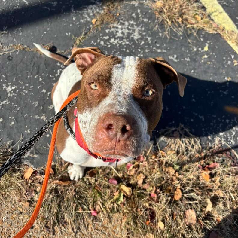 Hokaが仲良くしている様子