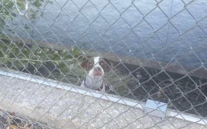 ドナがHokaを助ける瞬間