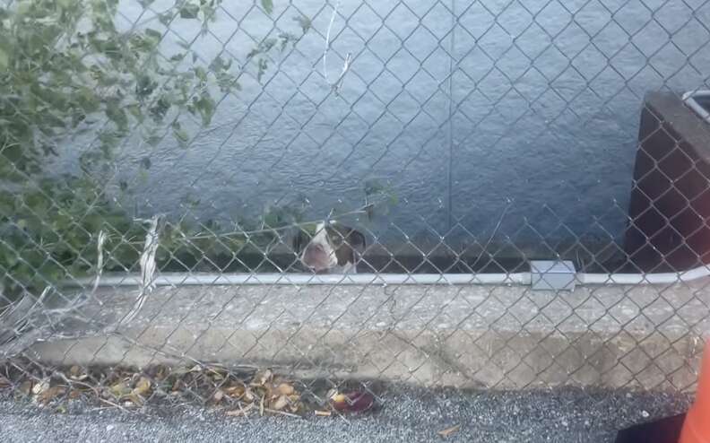 Hokaが閉じ込められているときの様子