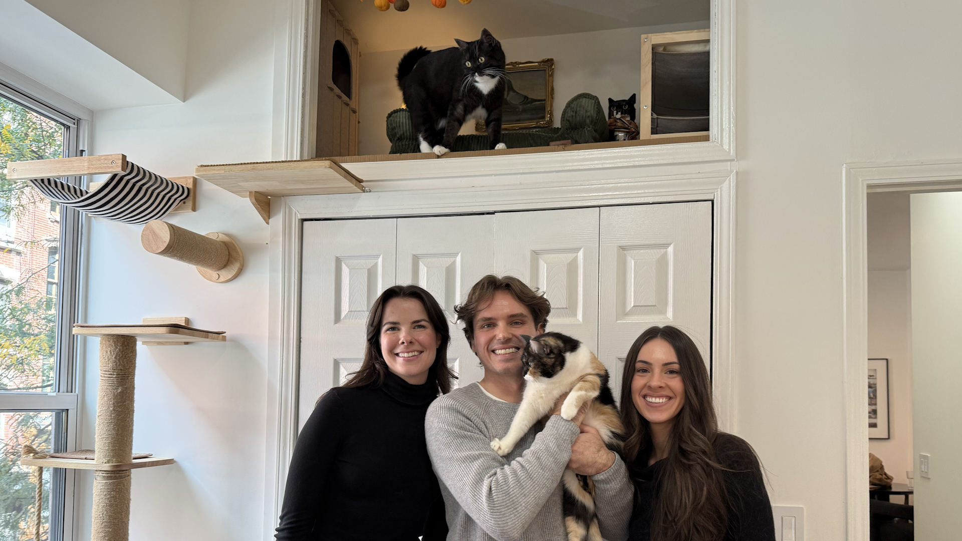 Couple Turns Small NYC Apartment Into A Palace For Their Bonded Kittens