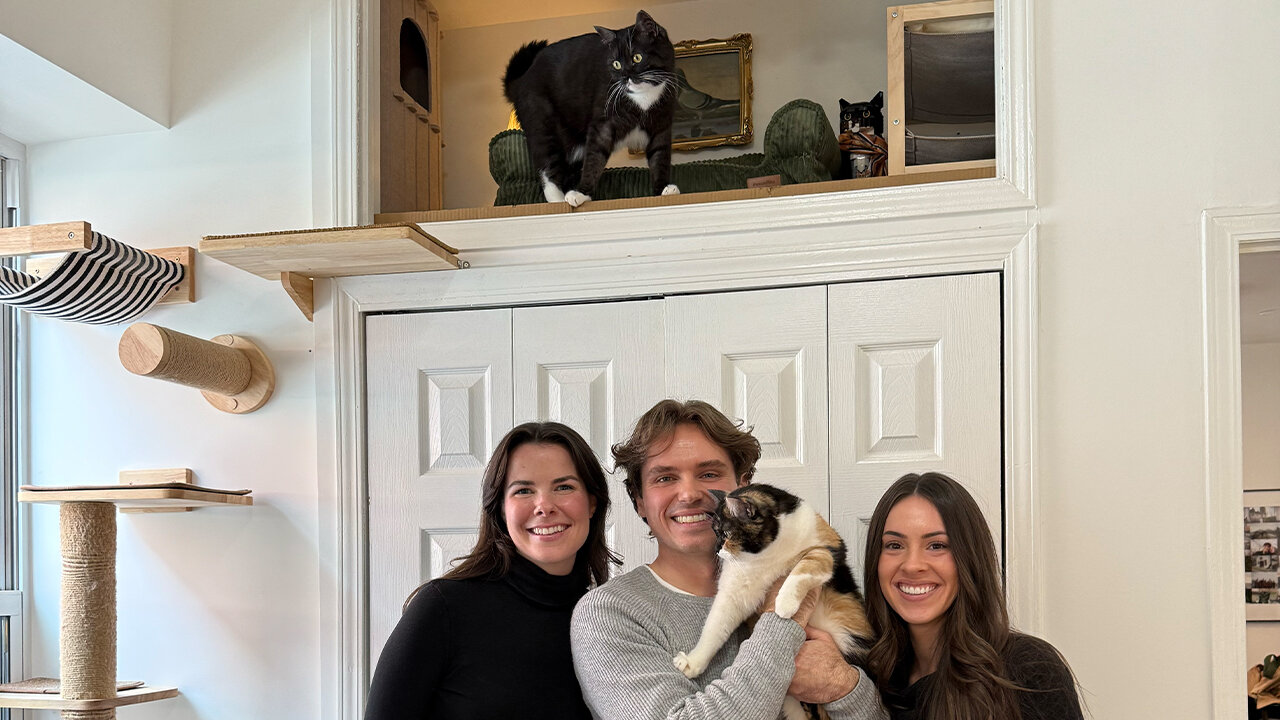 How a Storage Space Turned Into a Cat’s NYC Penthouse