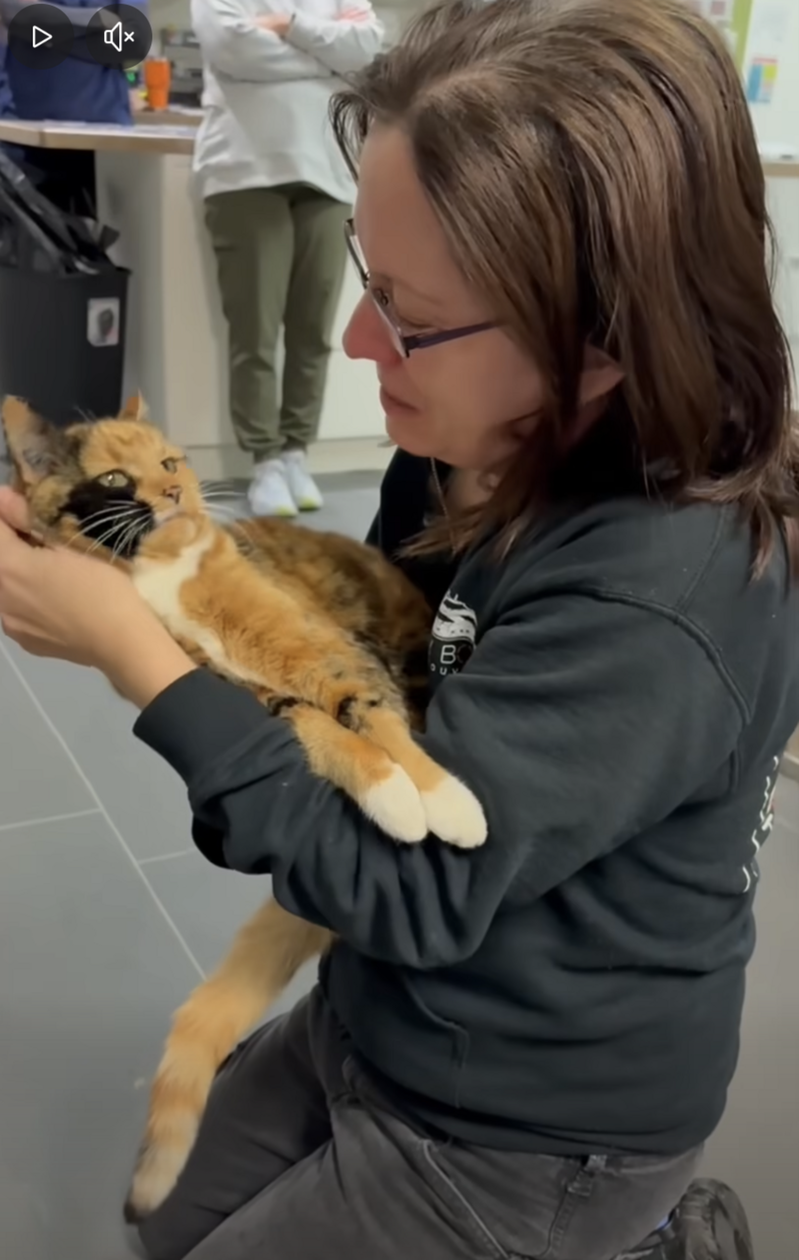 Woman In Tears After Reuniting With Cat Who Went Missing 8 Years ...
