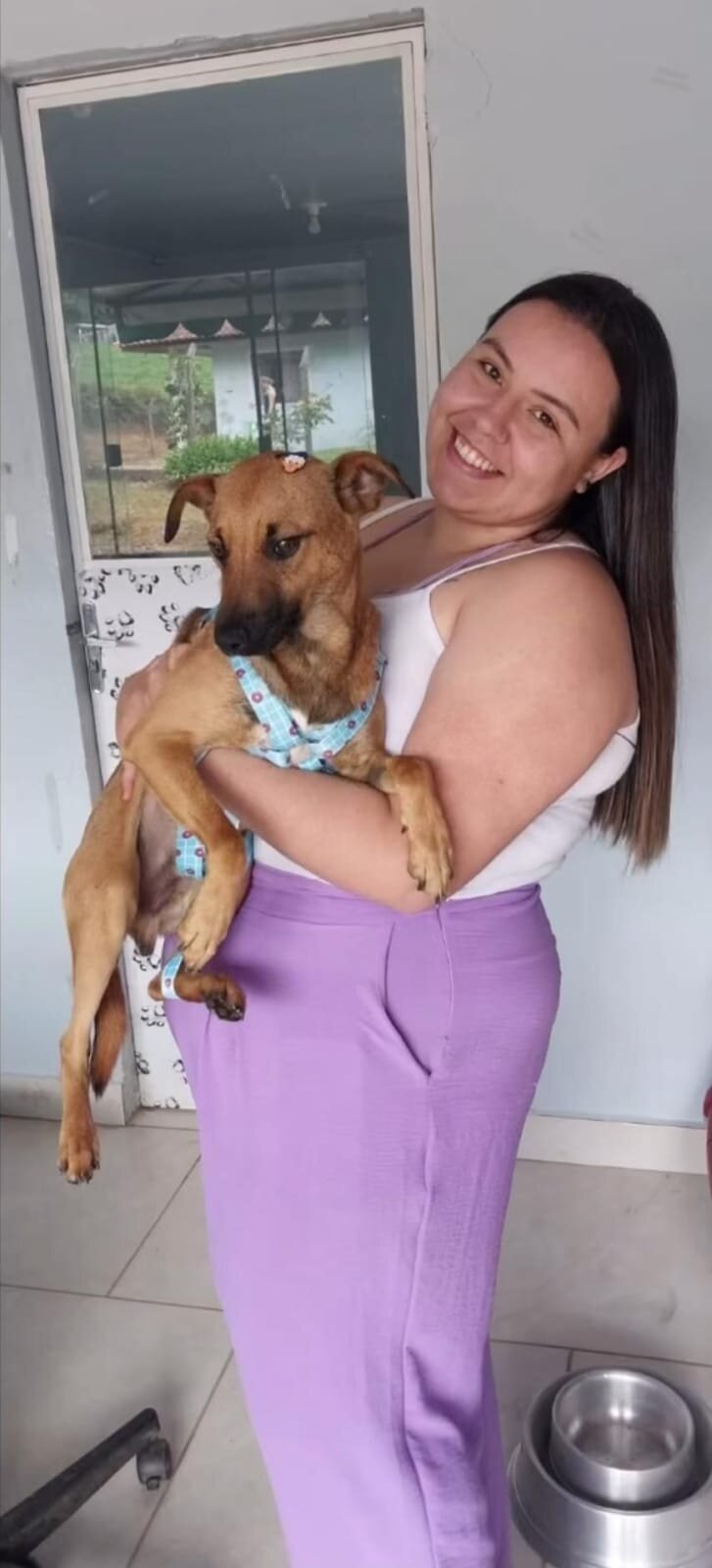 dog being held by new mom