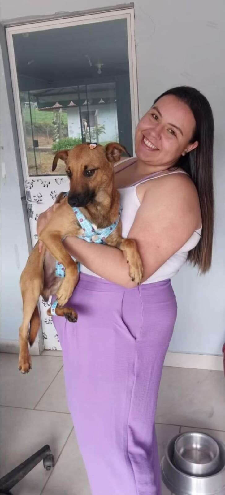 dog being held by new mom