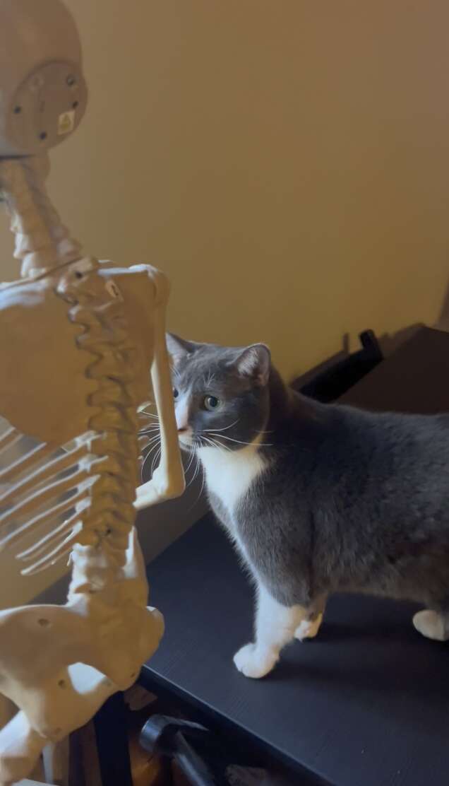 Gravy wreaking havoc in her home during goblin mode