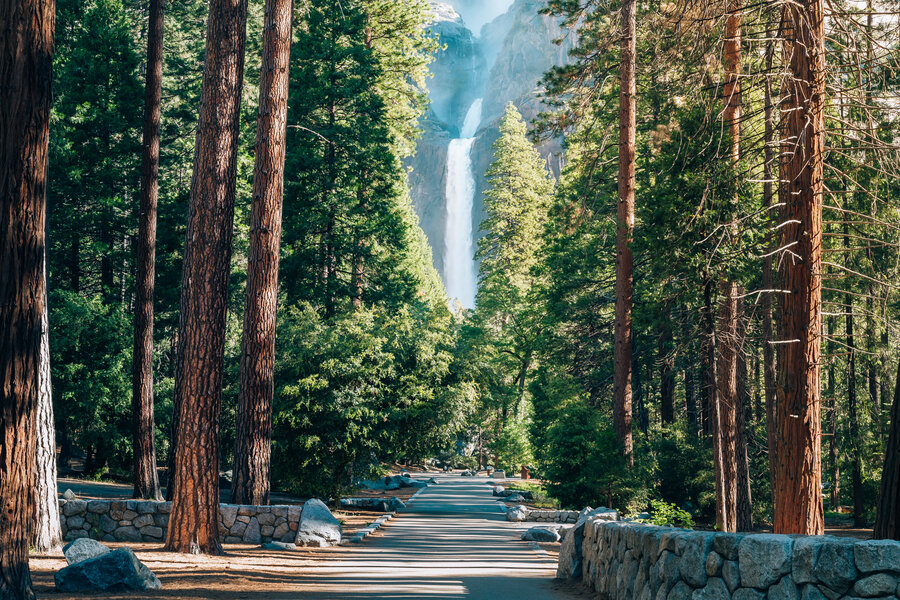 Best Family-Friendly Things to Do in Yosemite National Park - Thrillist