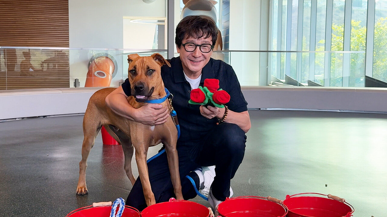 Ke Huy Quan Meets His Zootopia Character in Real Life