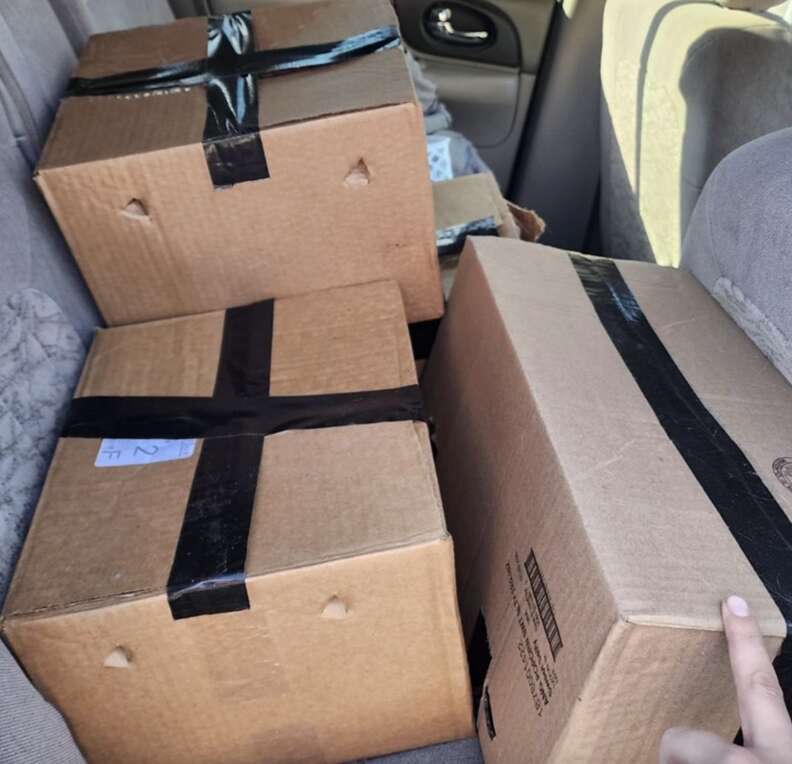 Abandoned boxes containing kittens
