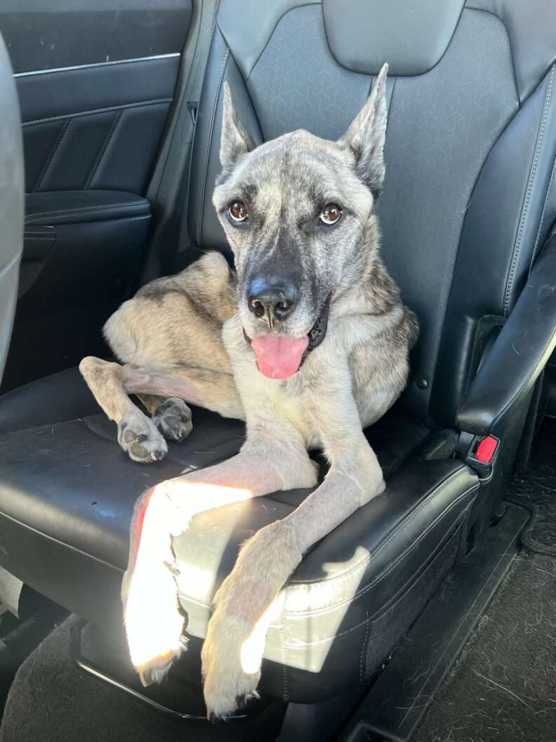 レイダーのトレーニングの様子