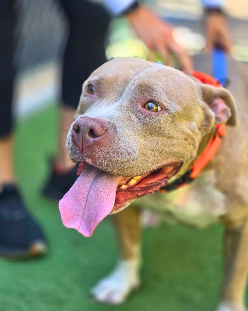 メアリーが愛される瞬間