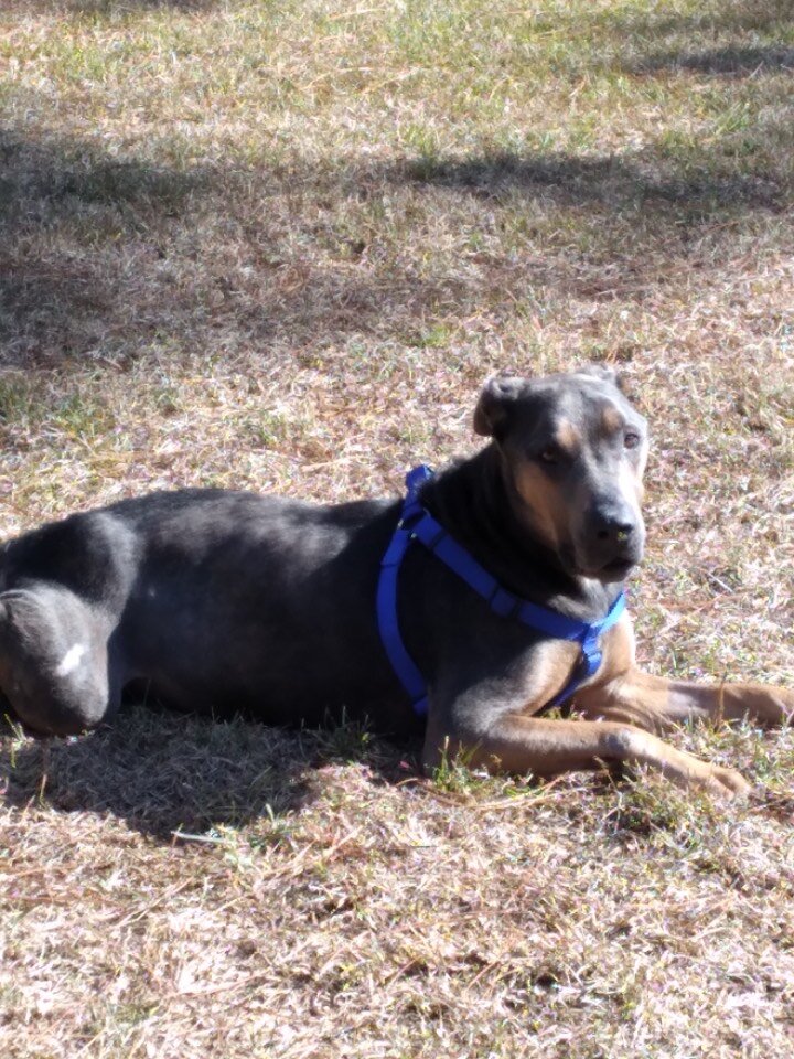 ローディの新しい家