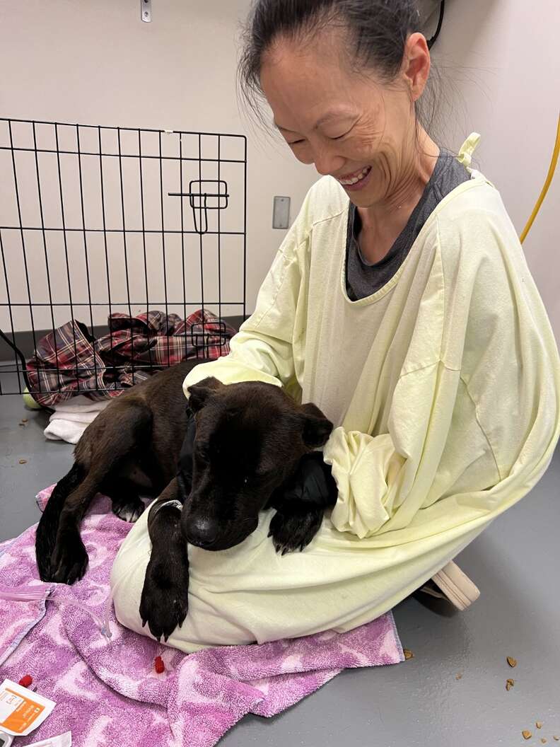 puppy in rescuers lap