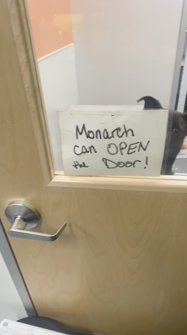 puppy with sign on the door that says dog can open doors