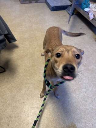 Tangiとサラさんの写真