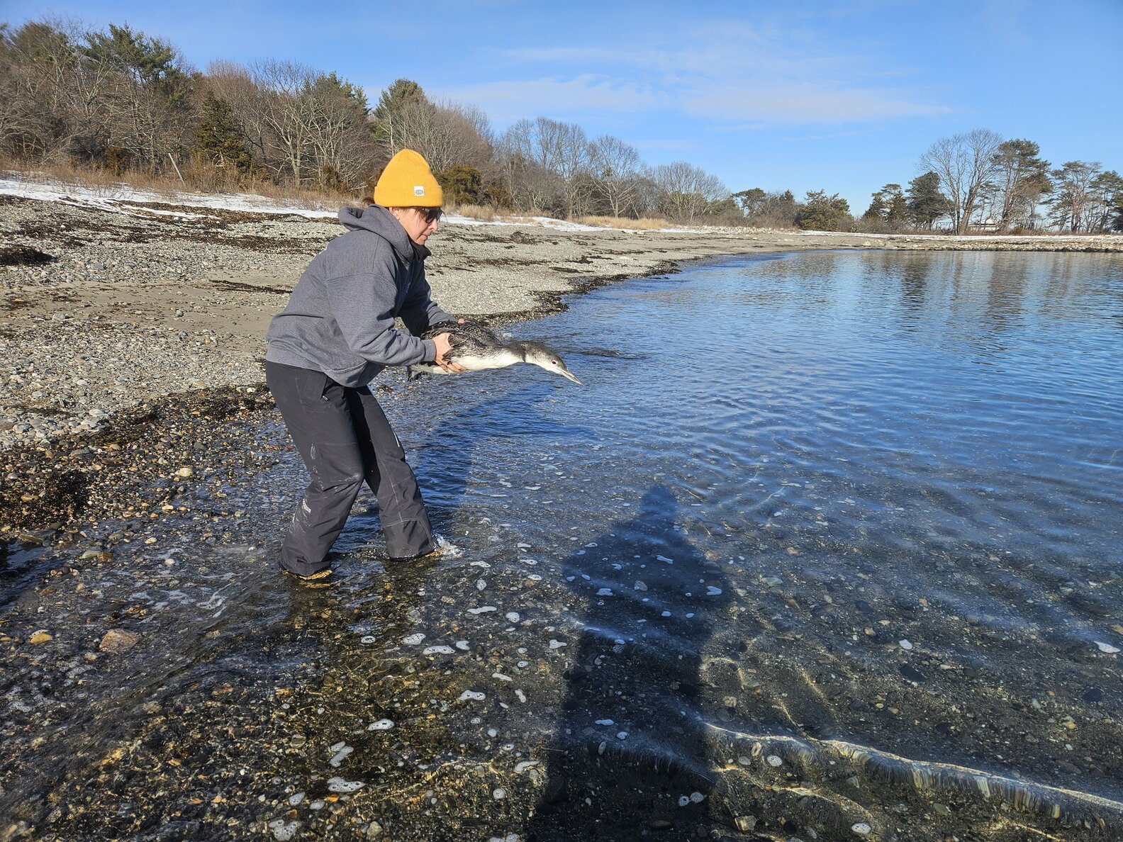 Residents See Black Speck On Frozen Lake And Realize An Animal Is ...