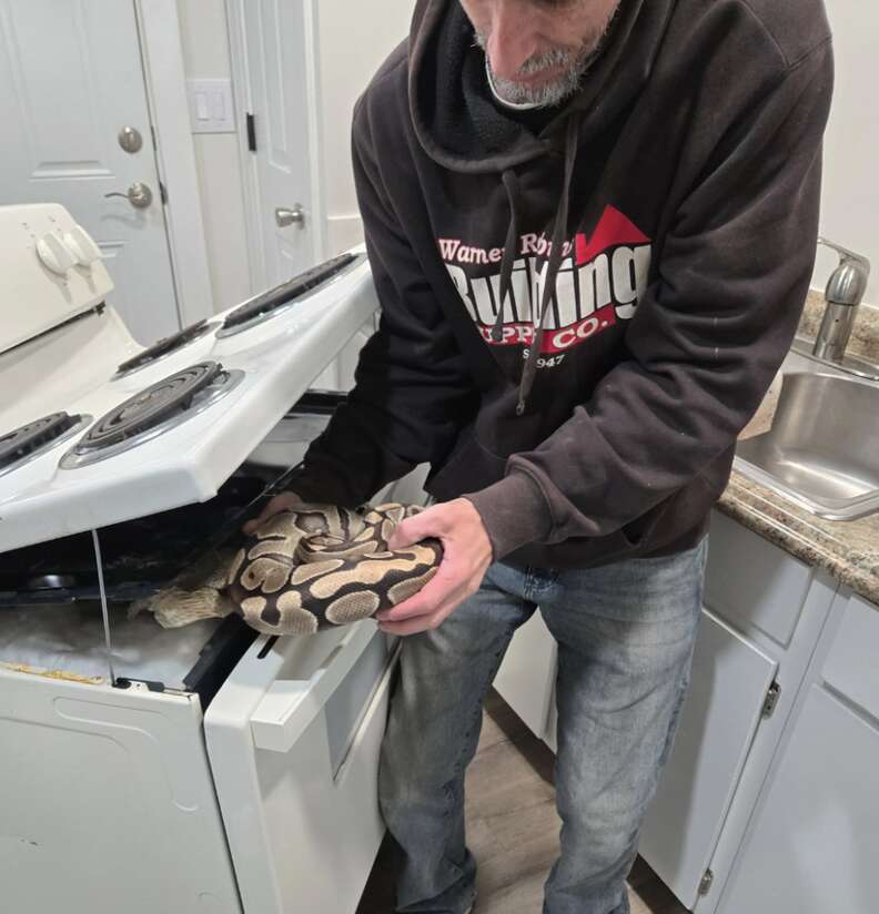 蛇を助ける様子