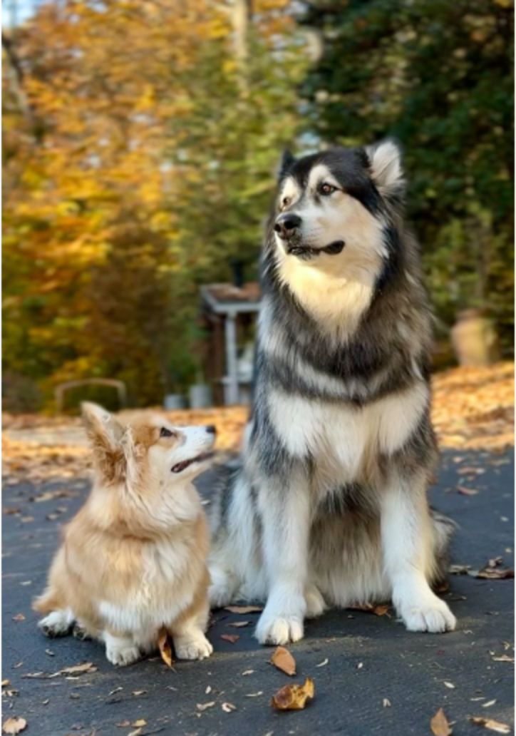 フィオナとキリの友情