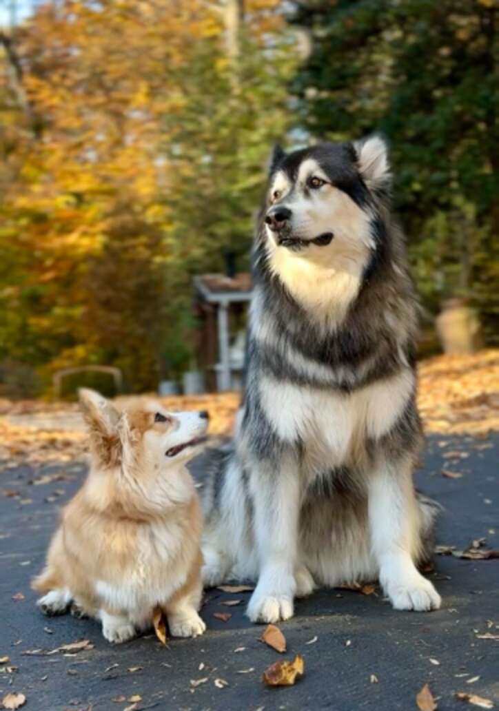 フィオナとキリの友情