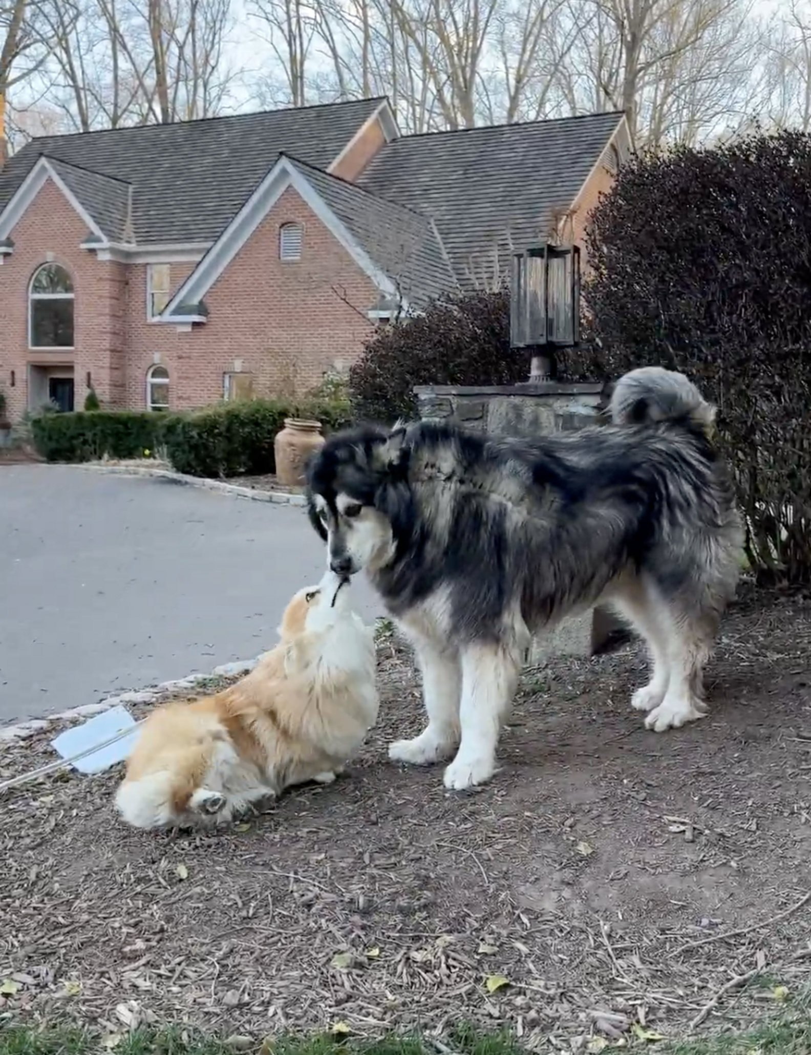 キリにキスをするフィオナ