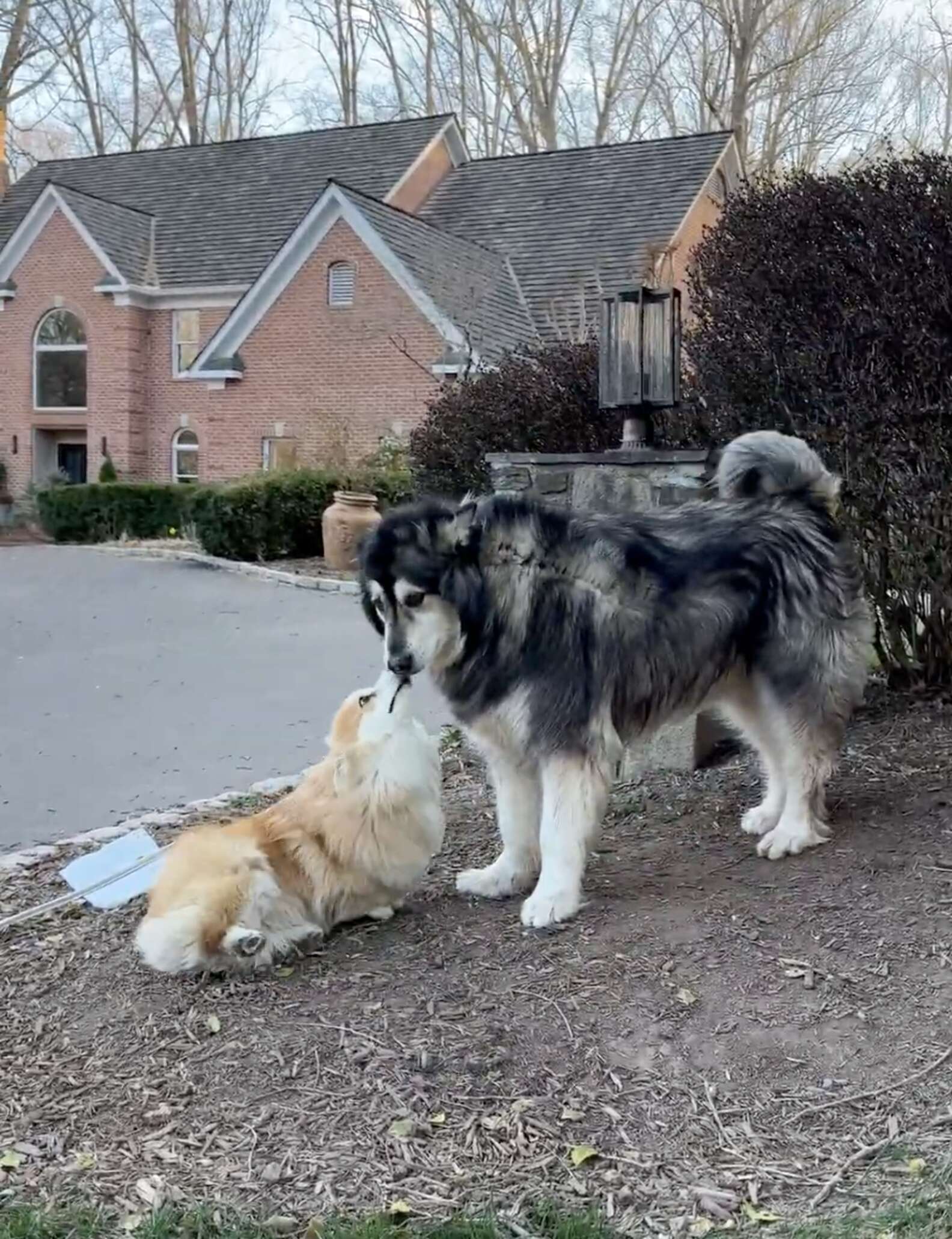 キリにキスをするフィオナ