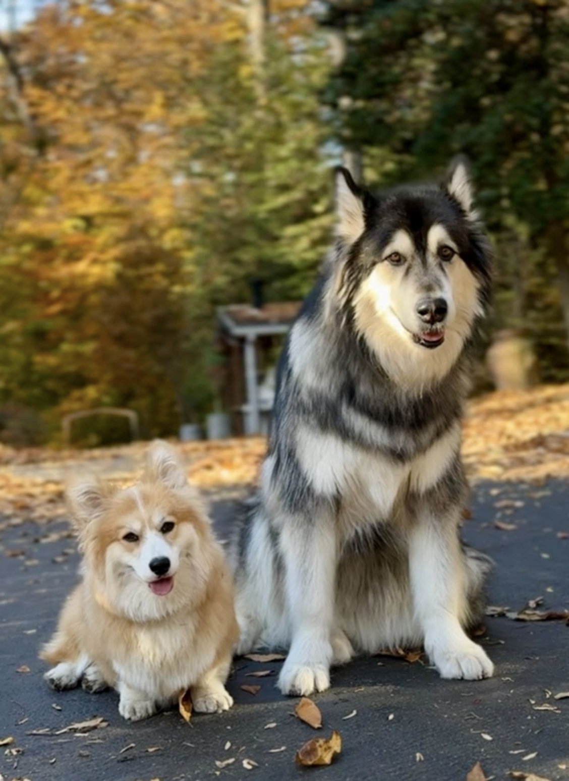初めての出会い