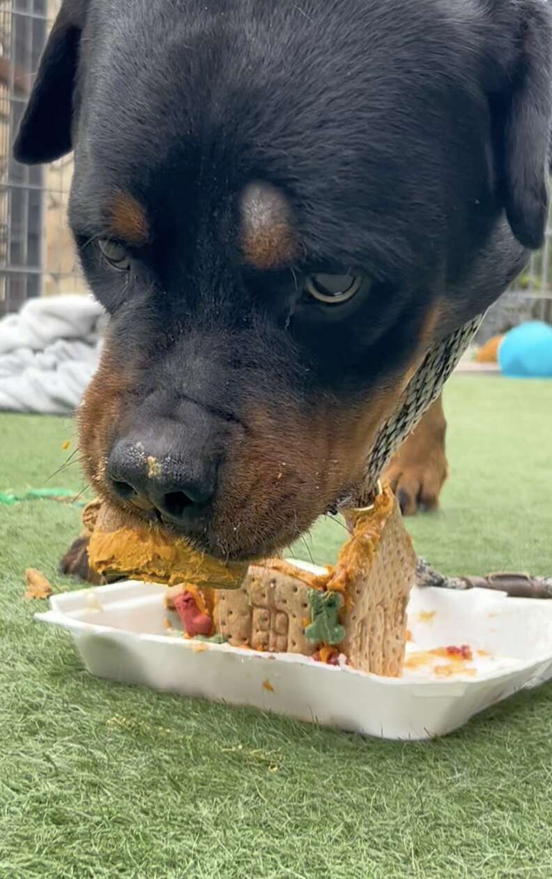 ボランティアの工夫