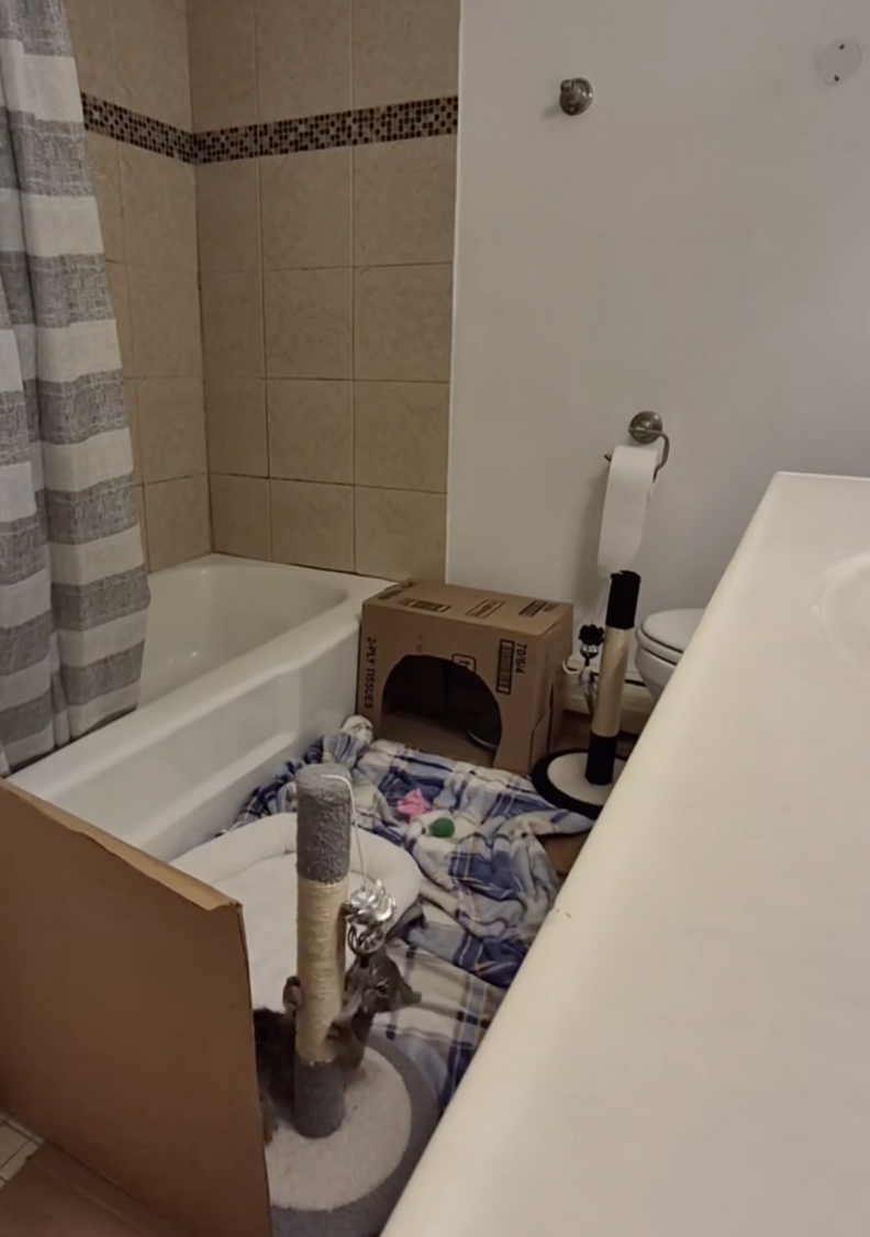 心地よい隔離スペース