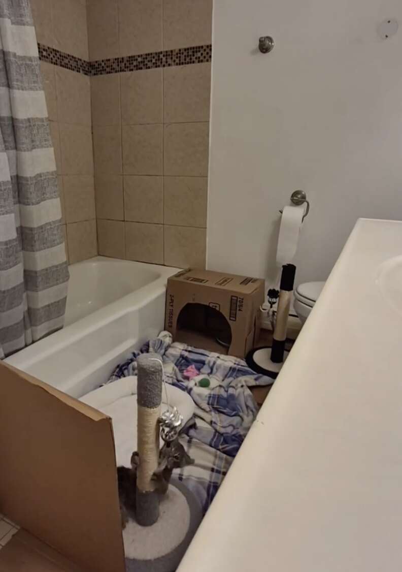 心地よい隔離スペース