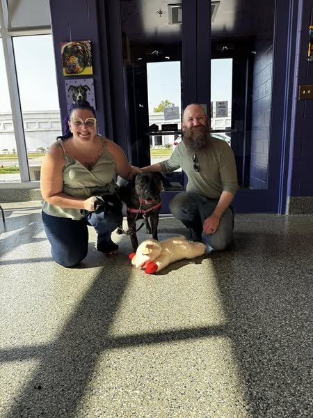 people with adopted dog 