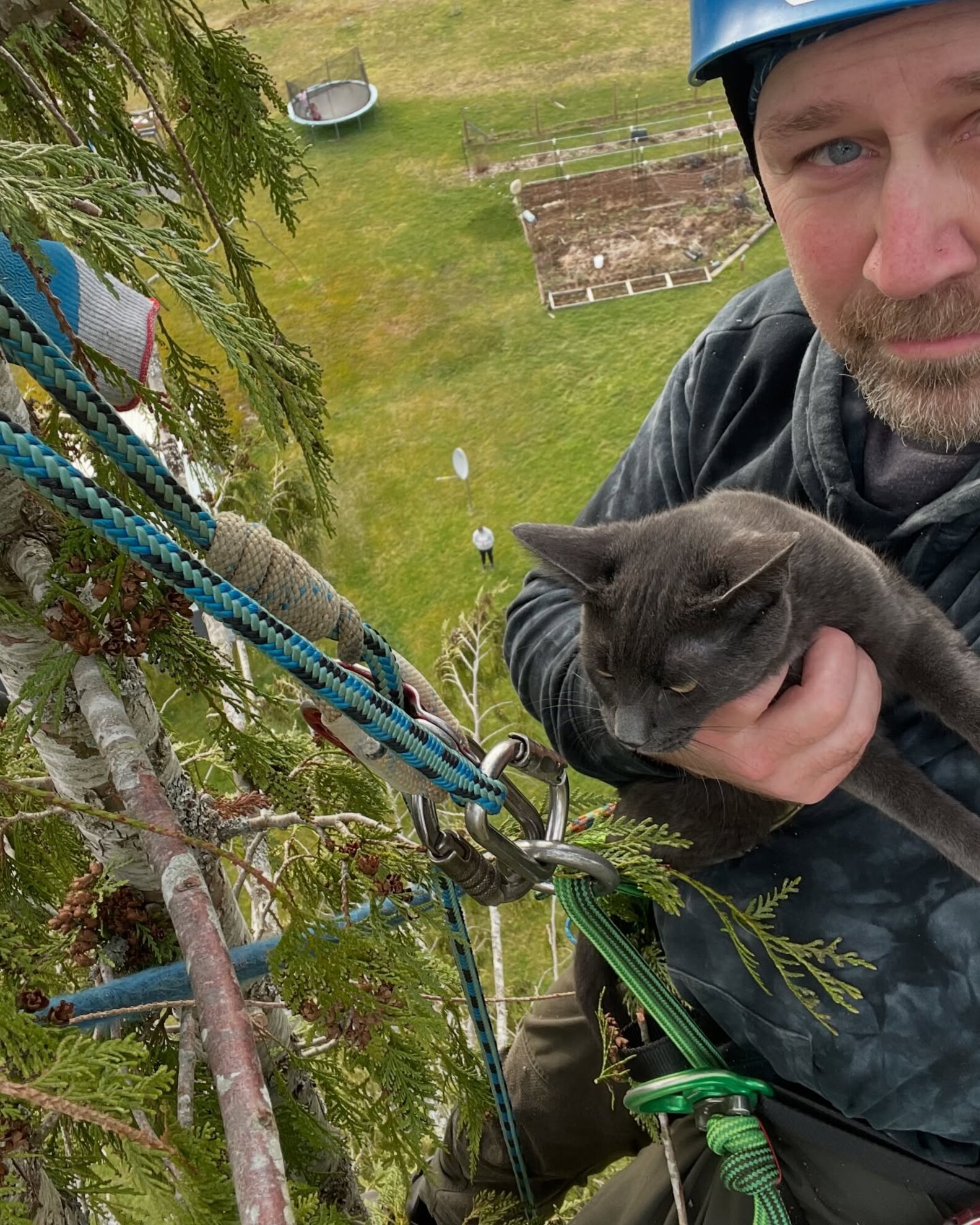 Quick-Thinking Rescuer Uses 'Unconventional' Method To Save Cat Stuck ...