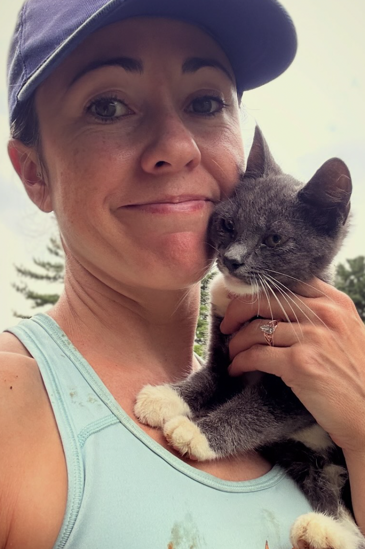 犬と猫が仲良しの写真