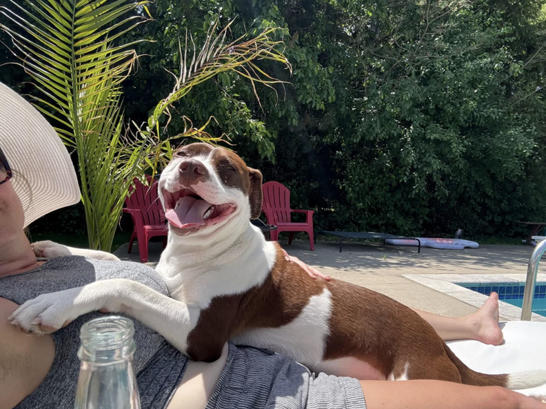 ジョーイの幸せそうな写真