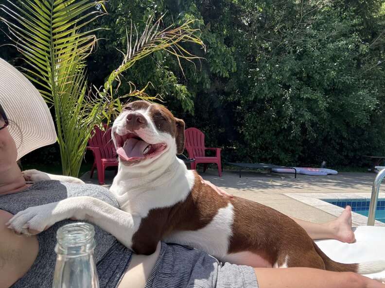 ジョーイの幸せそうな写真