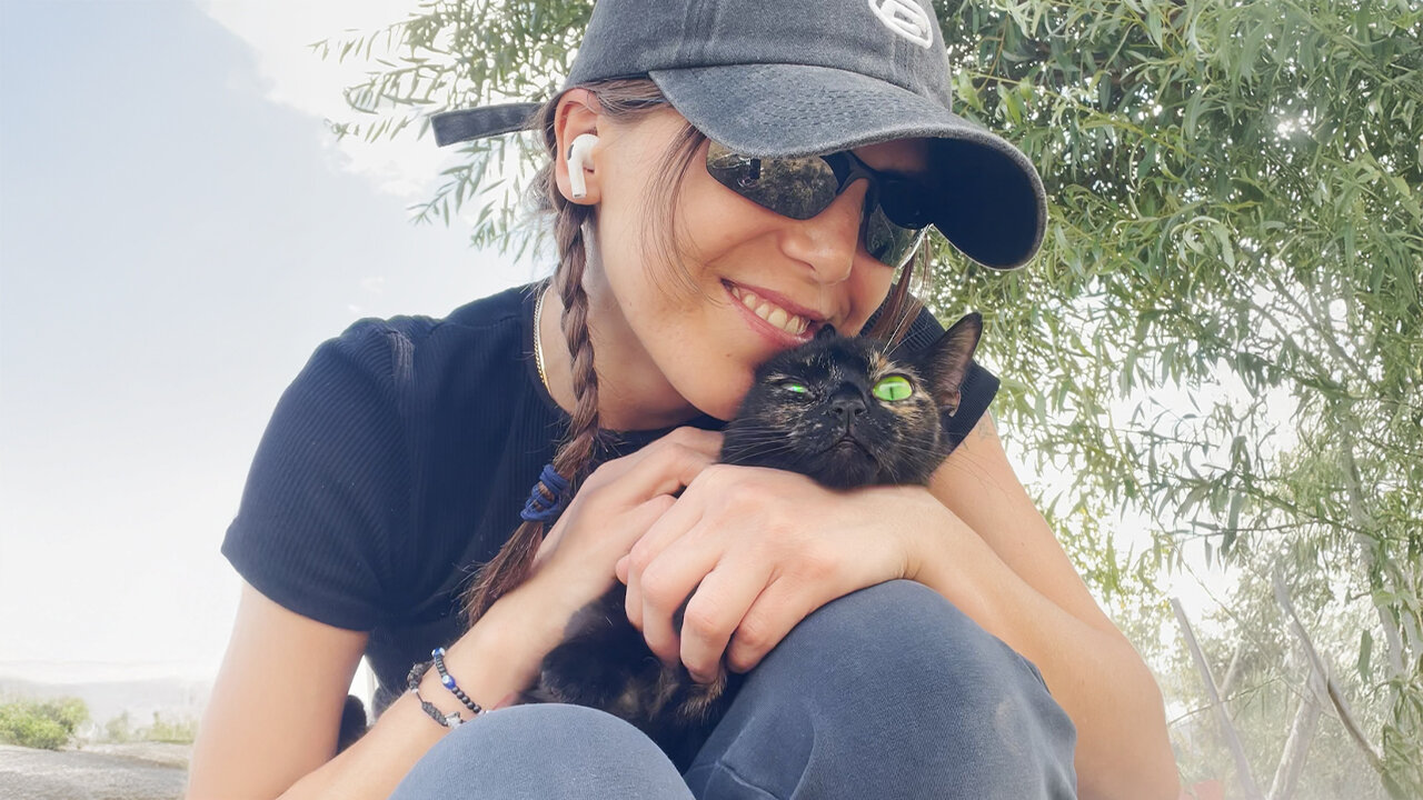 Woman Found A Stray Cat And Then Discovered Her Secret