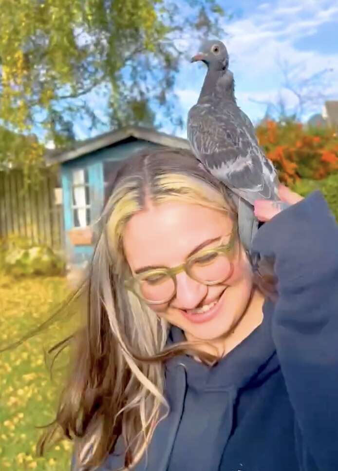 元気なスプーン