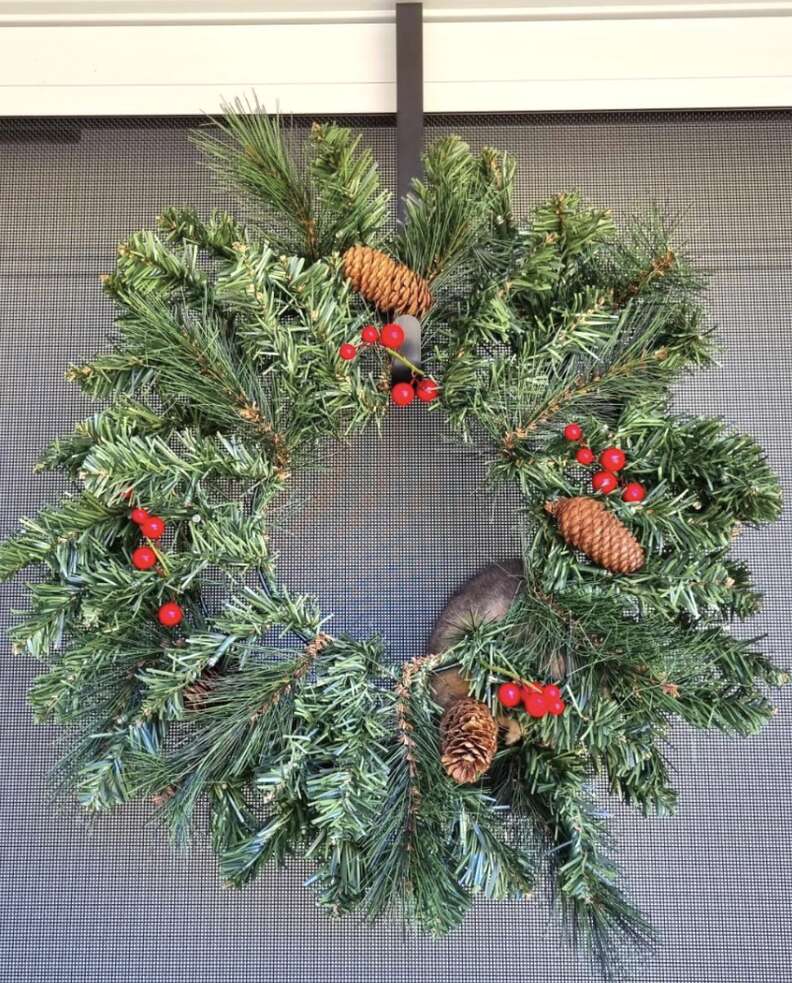 possum in christmas wreath