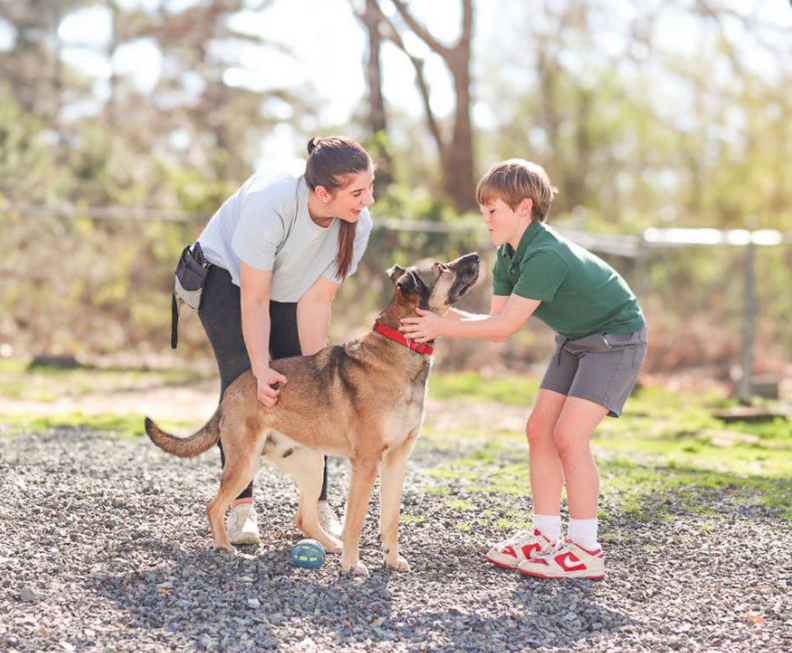 人懐っこいオーソン