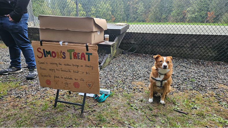 シモンが友達にドーナツを配る様子