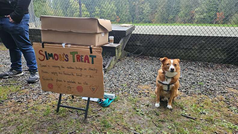 シモンが友達にドーナツを配る様子