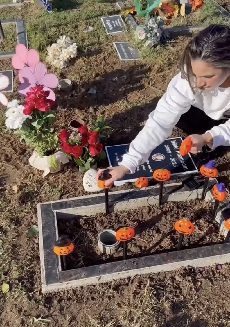 Family decorates cat's grave for Halloween