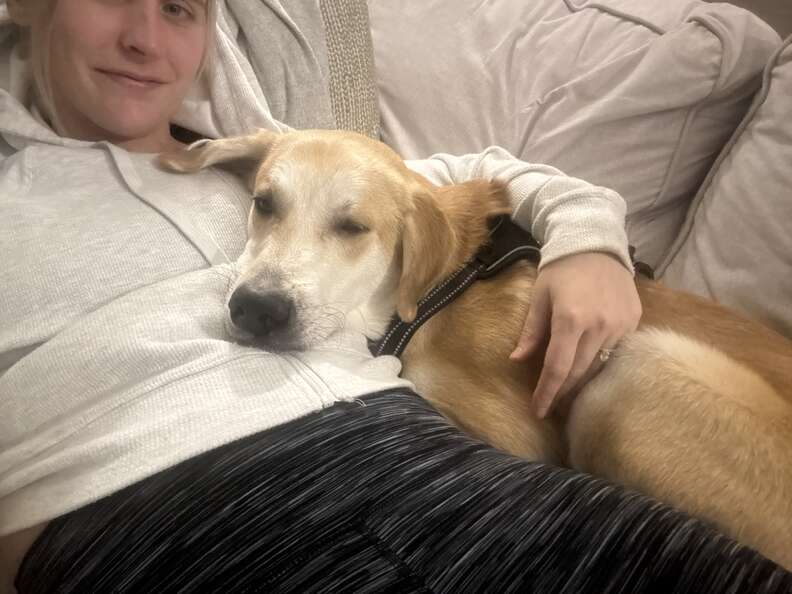 Dog cuddling with rescuer
