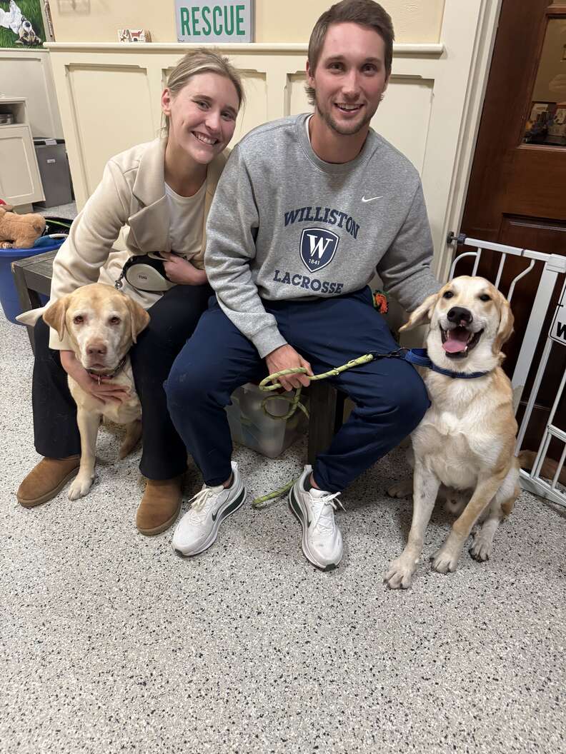 Dog with his new family