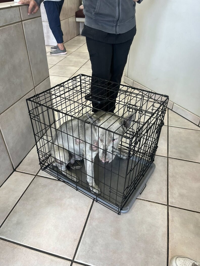 Maxwell at the Clinic