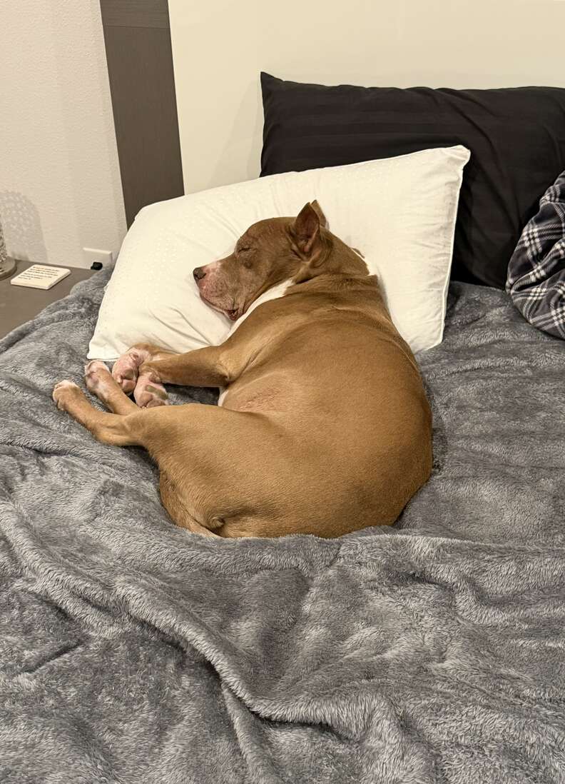 サンがくつろぐ姿