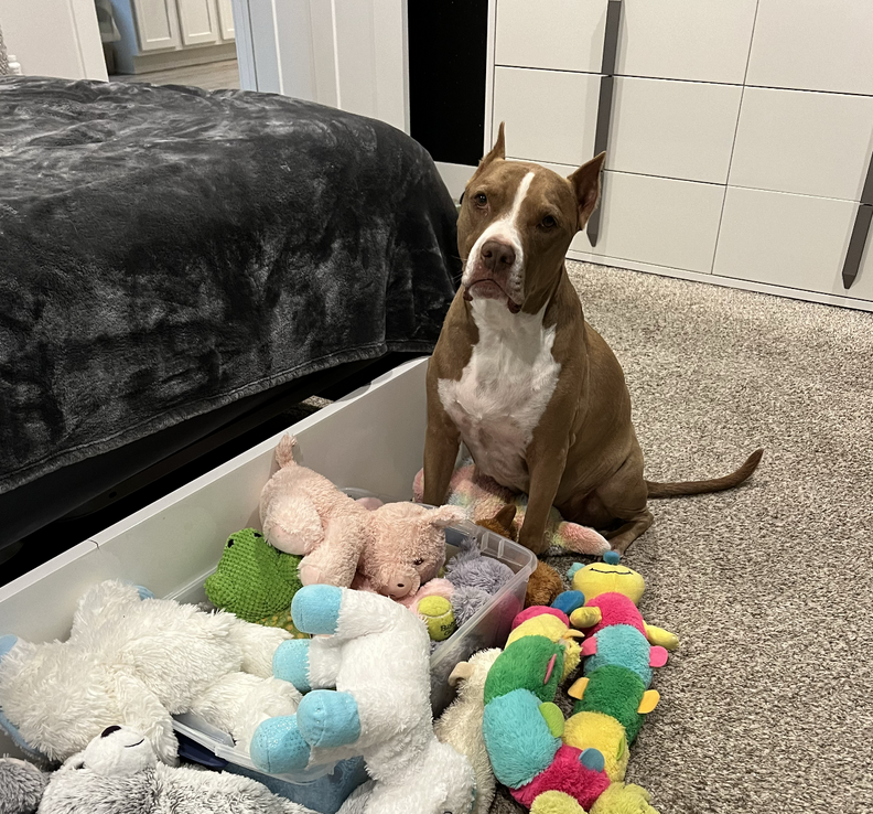 サンが戸惑っている様子