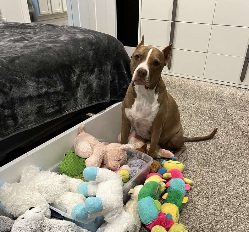 サンが戸惑っている様子