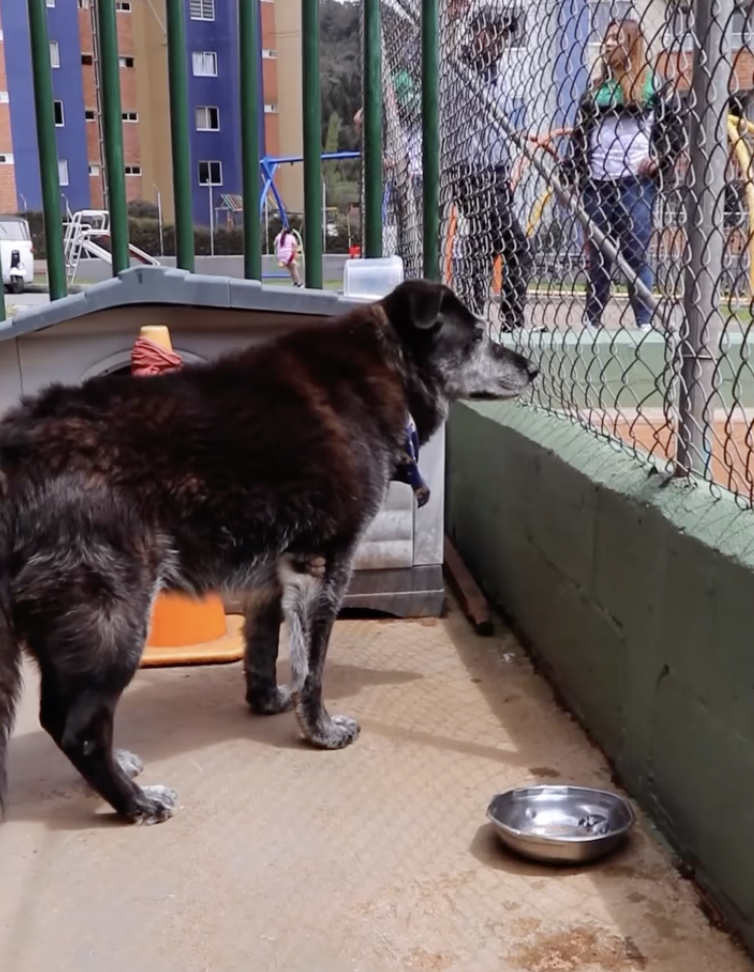 Roger's statue unveiling