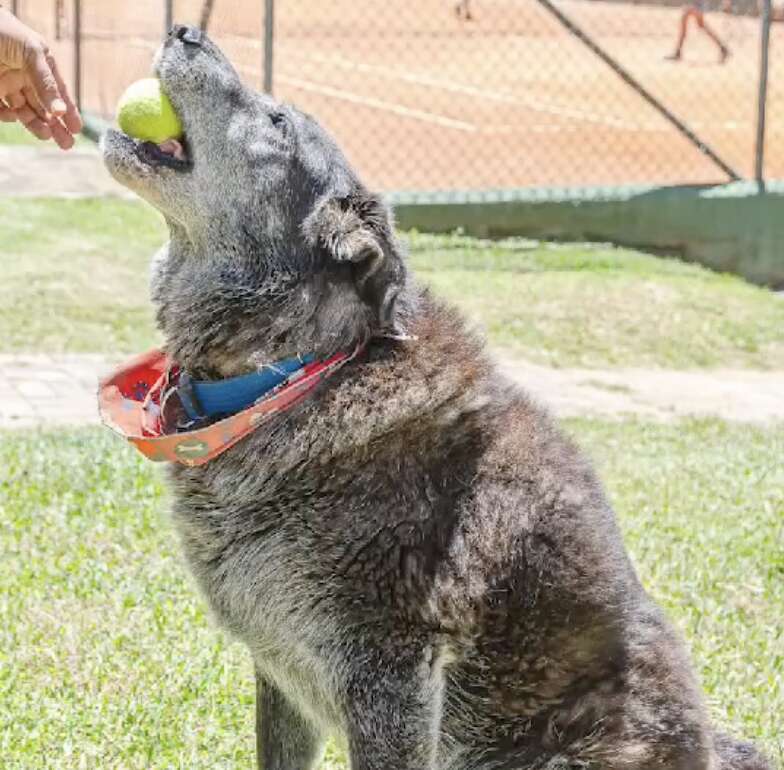Roger enjoying tennis