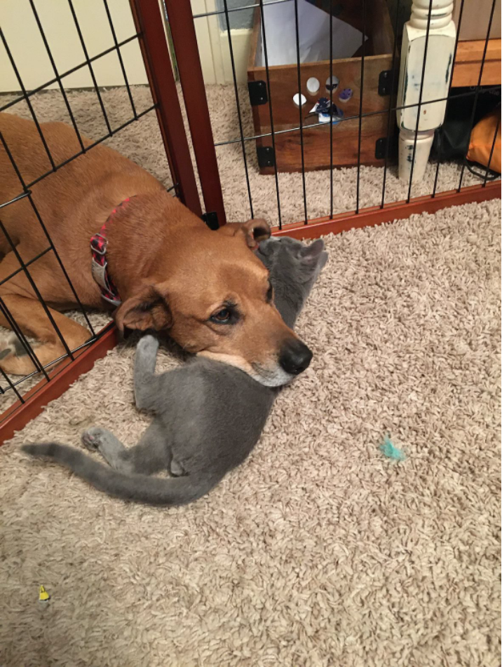 オークリーとリバーが仲良くなる瞬間