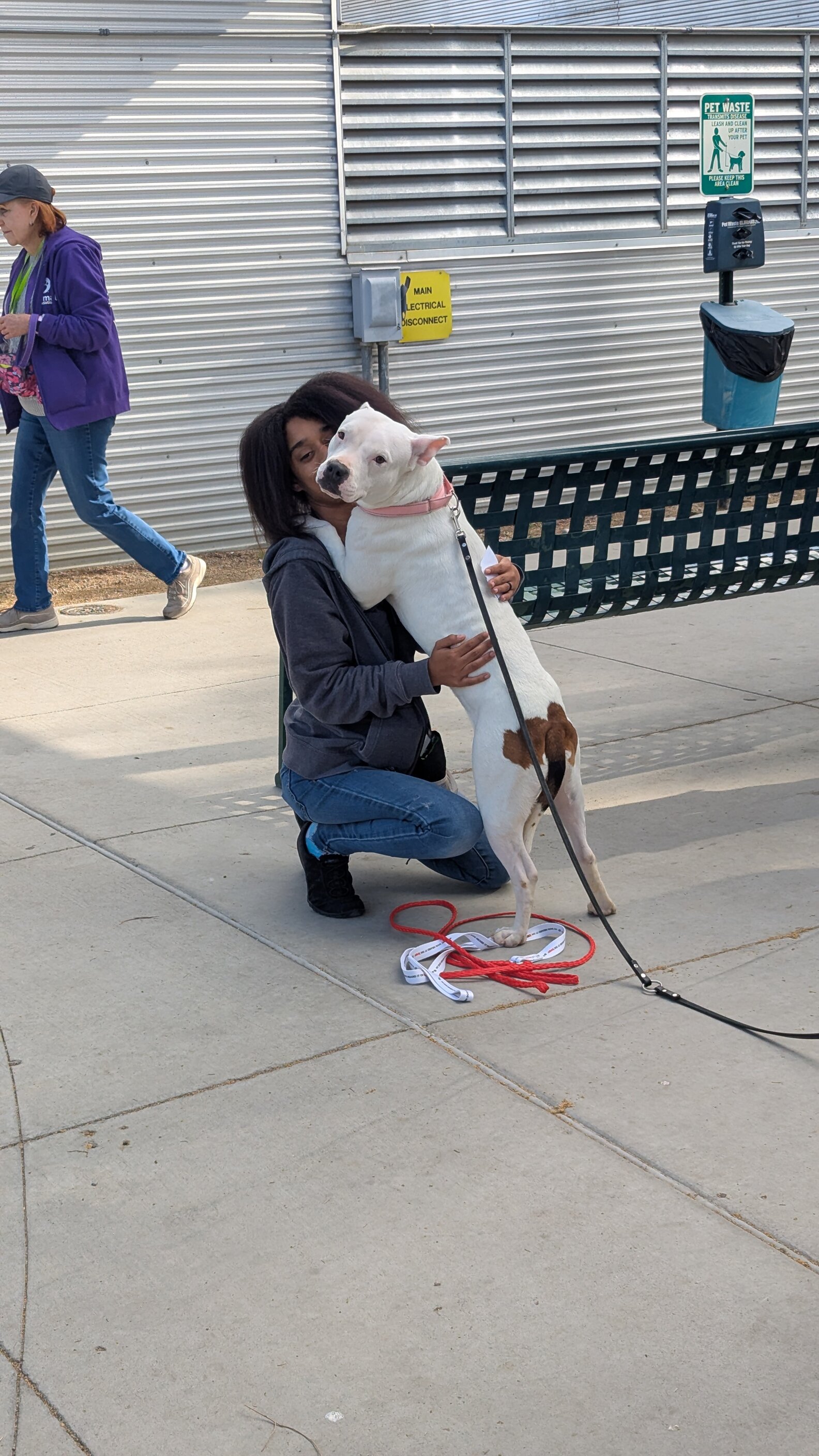 Shelter Dog Hugs Everyone She Meets, Hoping Someone Will Take Her Home ...